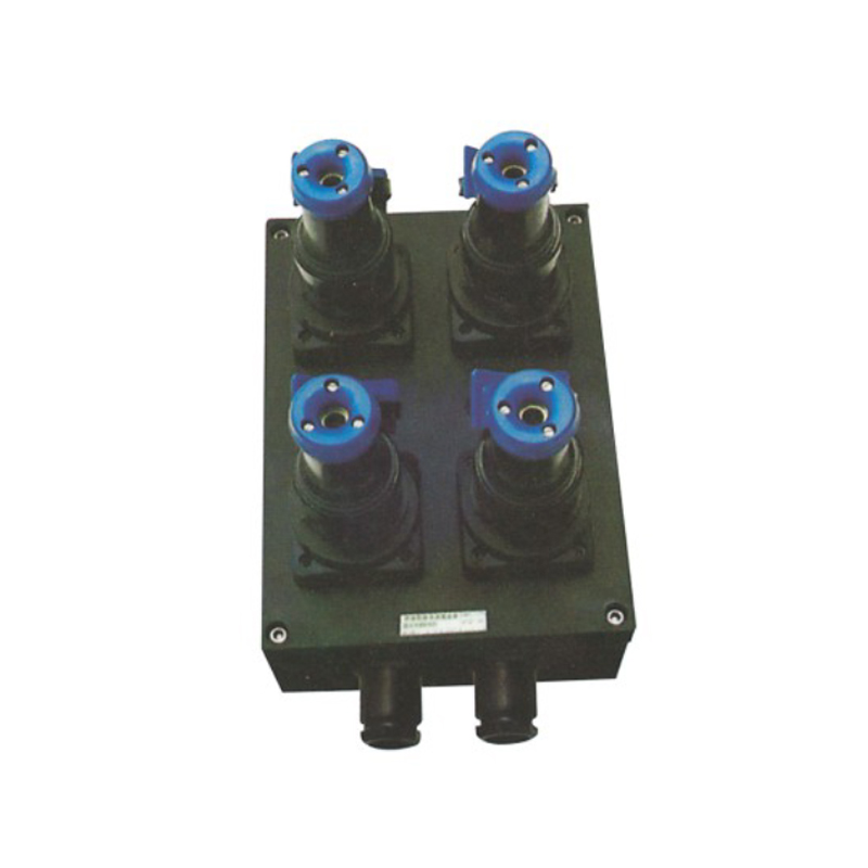 BXX-S係列防爆防腐電源插座箱